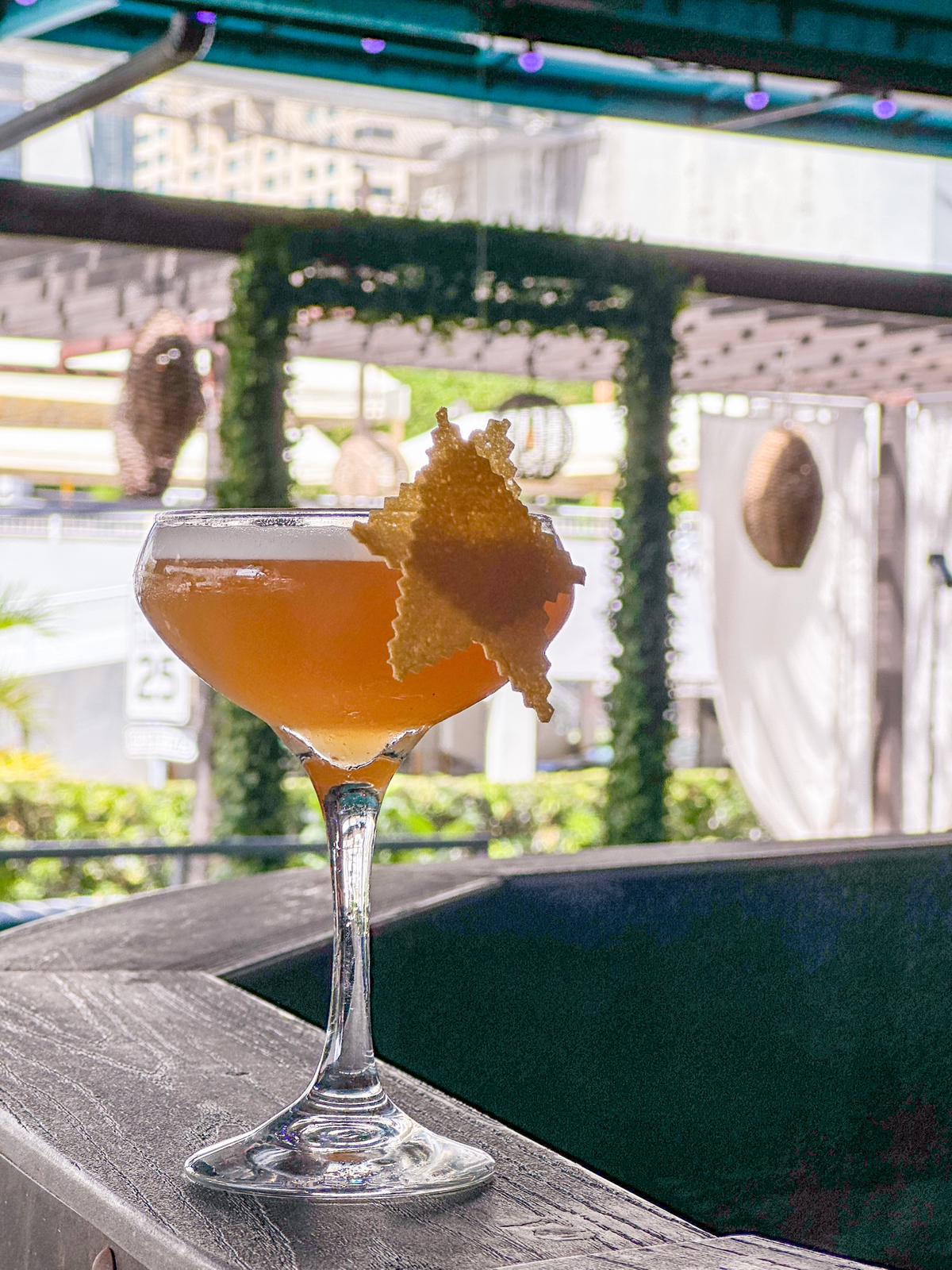 Tremendo Fruit Leather Chip